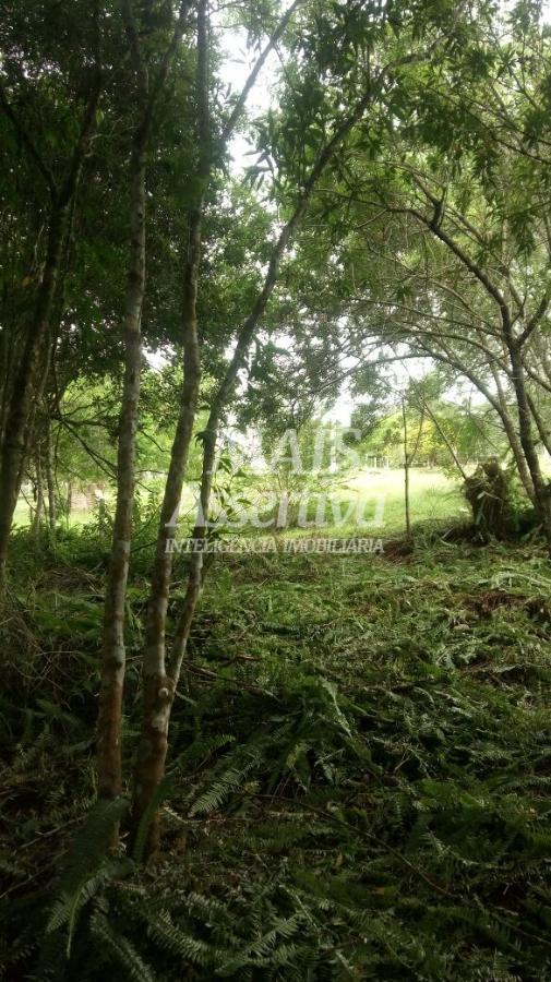 Sítio para Venda no bairro Santa Cruz da Concórdia em Taquara / RS.