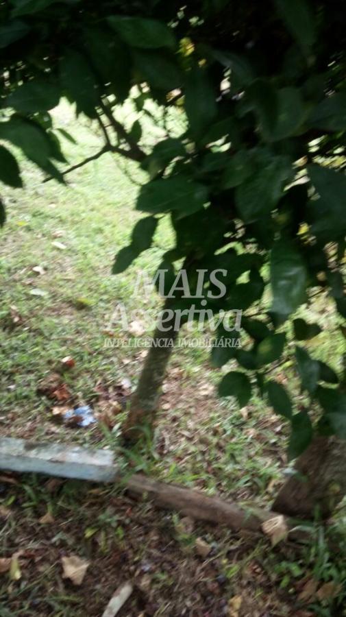 Sítio para Venda no bairro Santa Cruz da Concórdia em Taquara / RS.