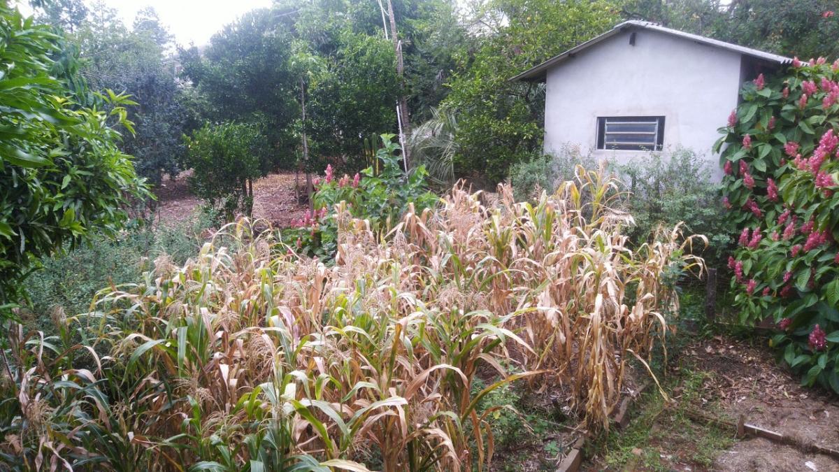 Terreno para Venda em São Leopoldo / RS no bairro Campestre