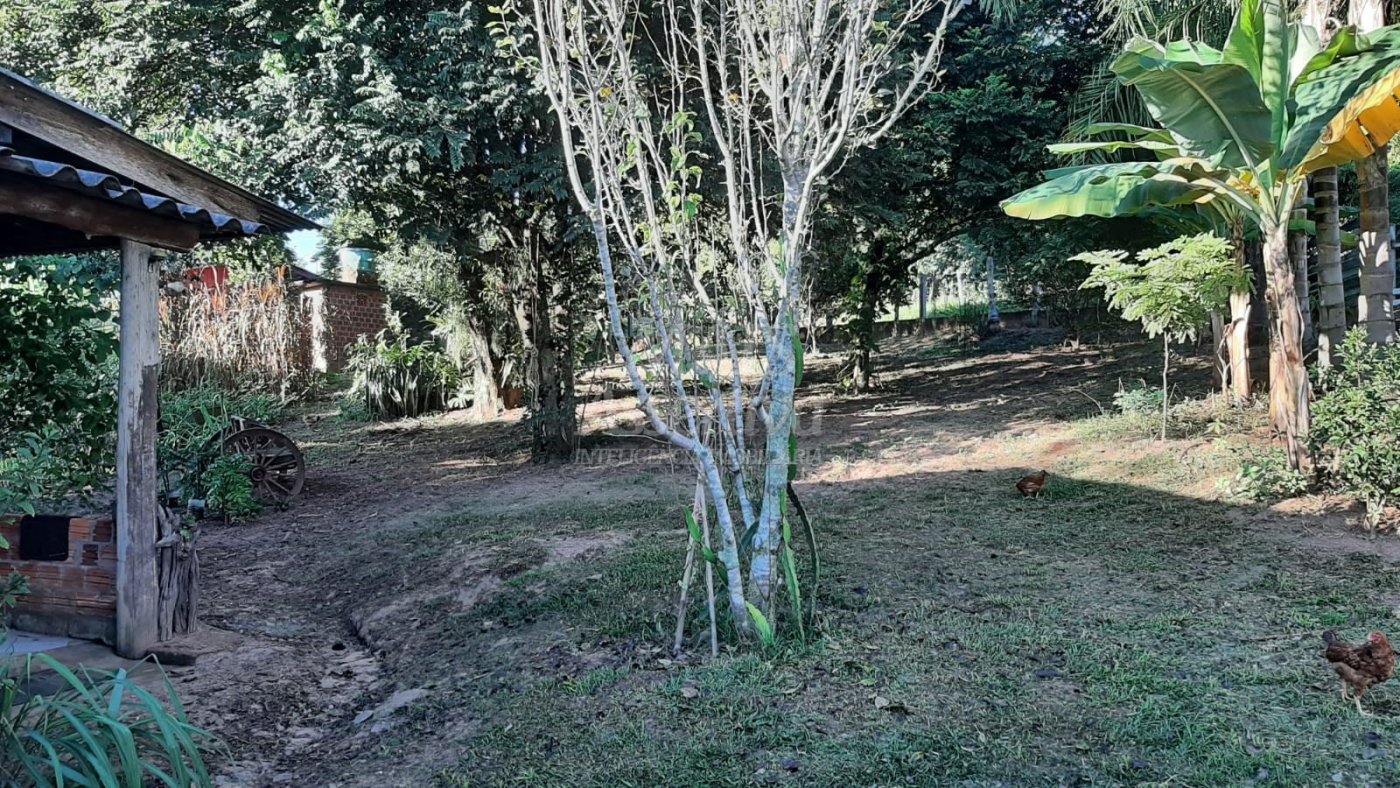 Sítio para venda em Portão