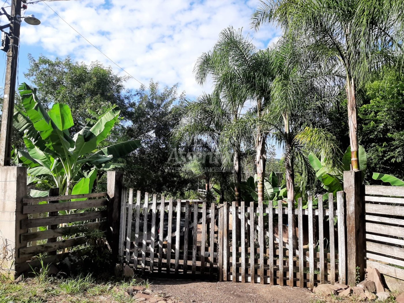 Sítio para venda em Portão