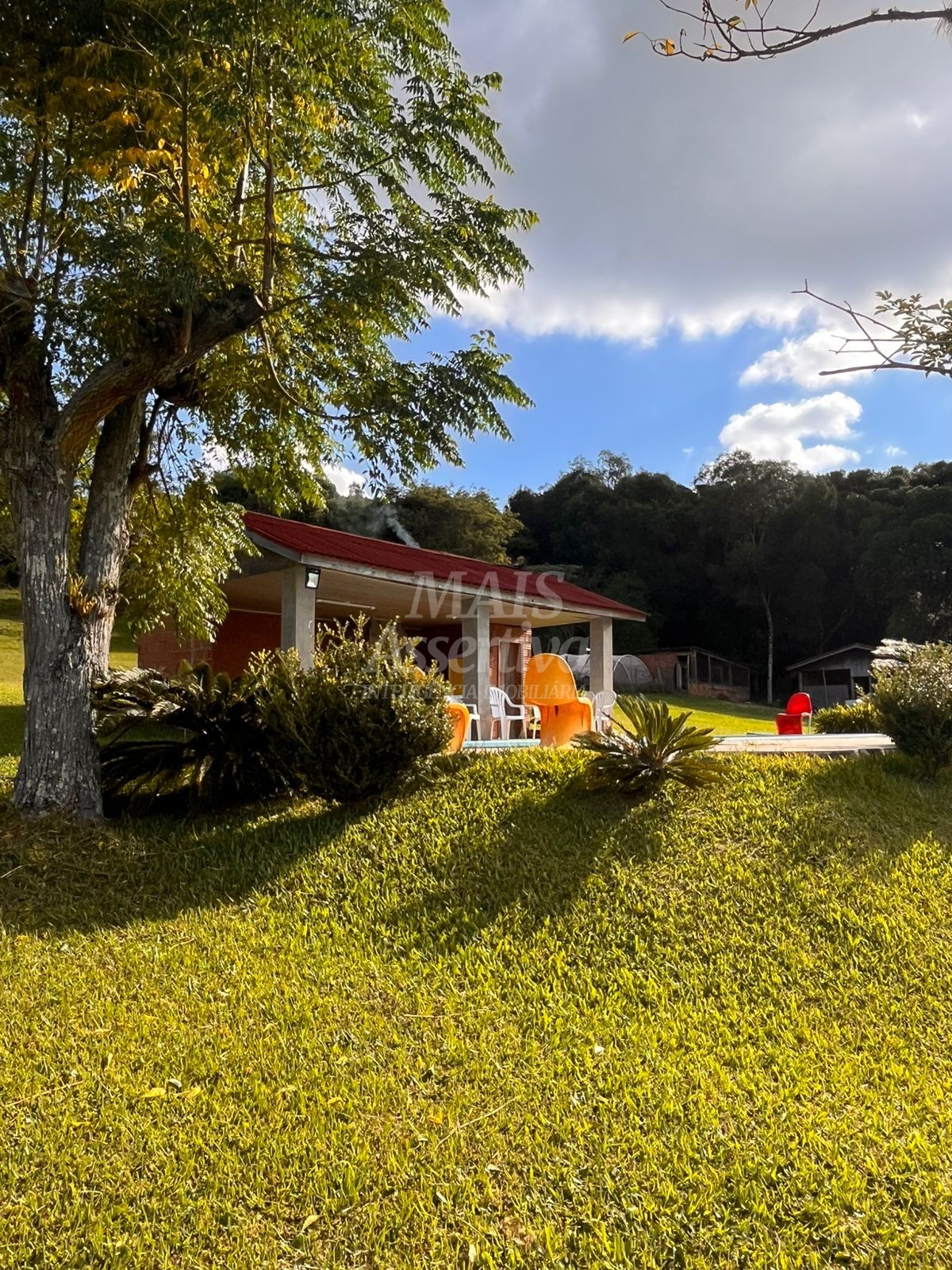 Belíssima Chácara com 2 (ha) para venda em Vila Seca Caxias do Sul