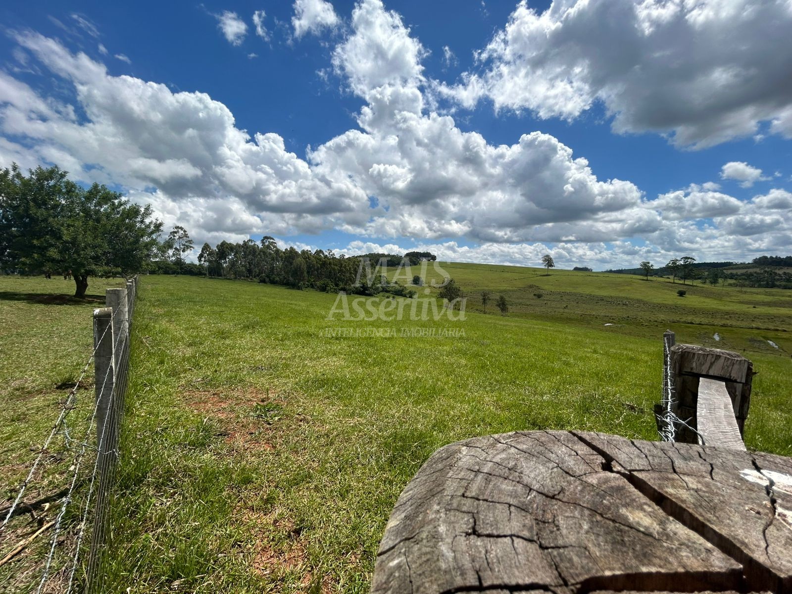 Sítio, 4 hectares - Foto 10