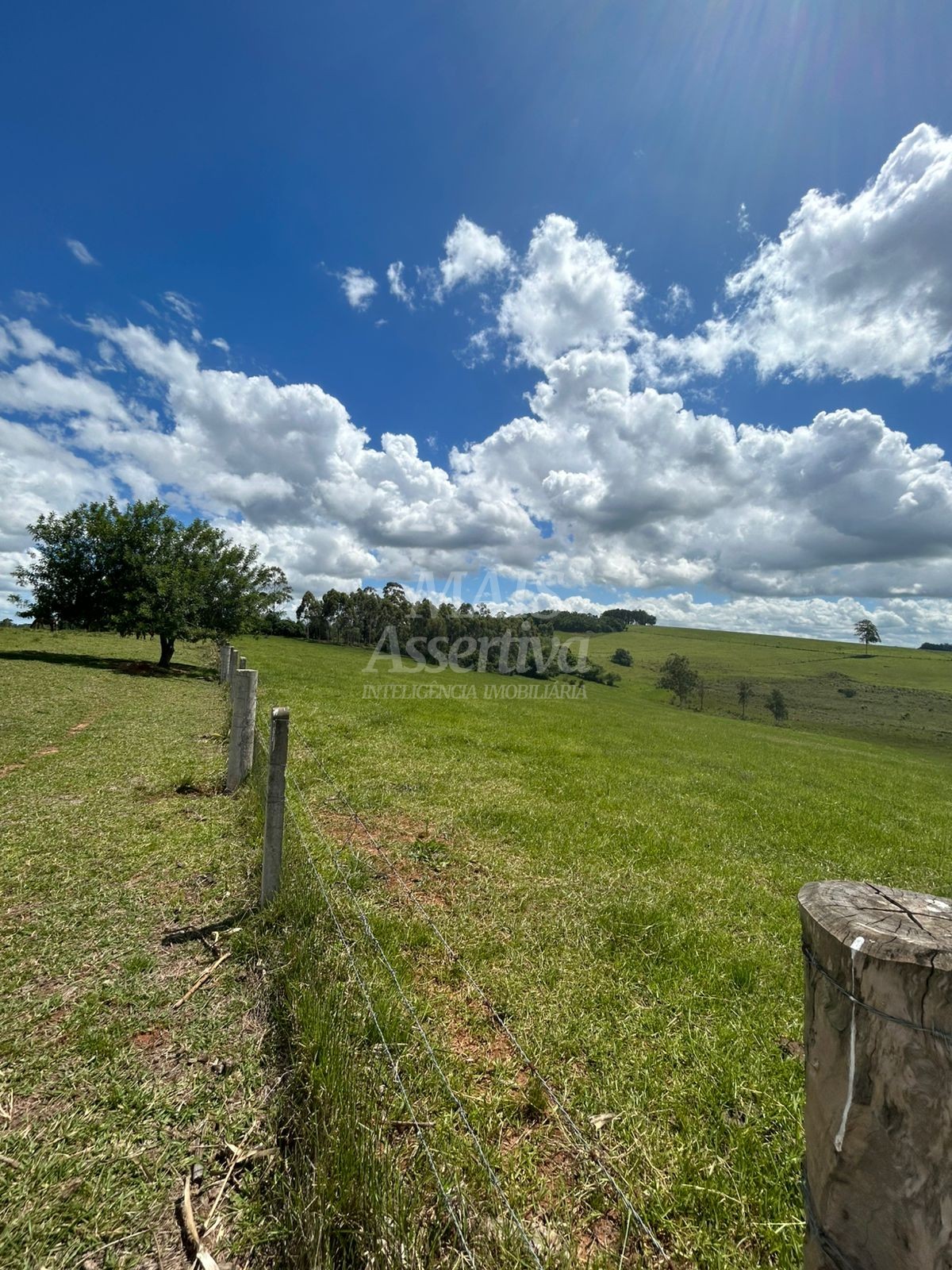 Sítio, 4 hectares - Foto 11