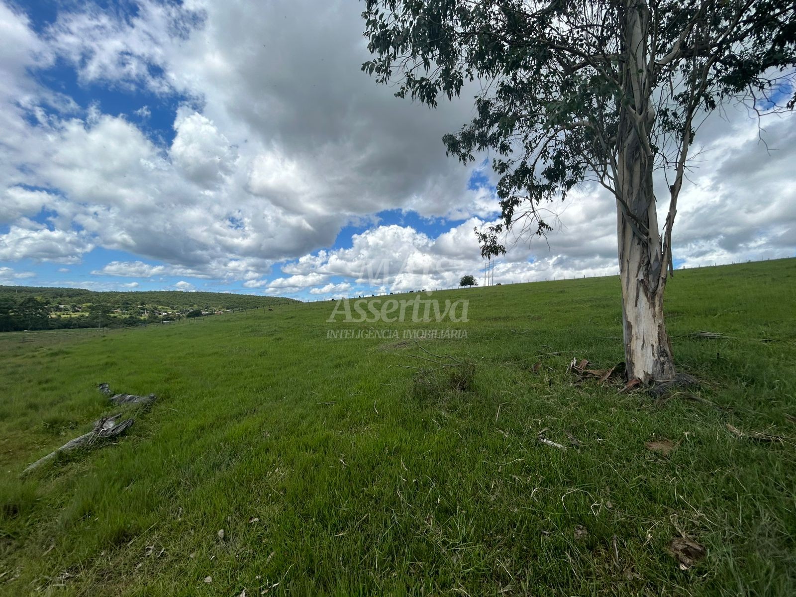 Sítio, 4 hectares - Foto 2