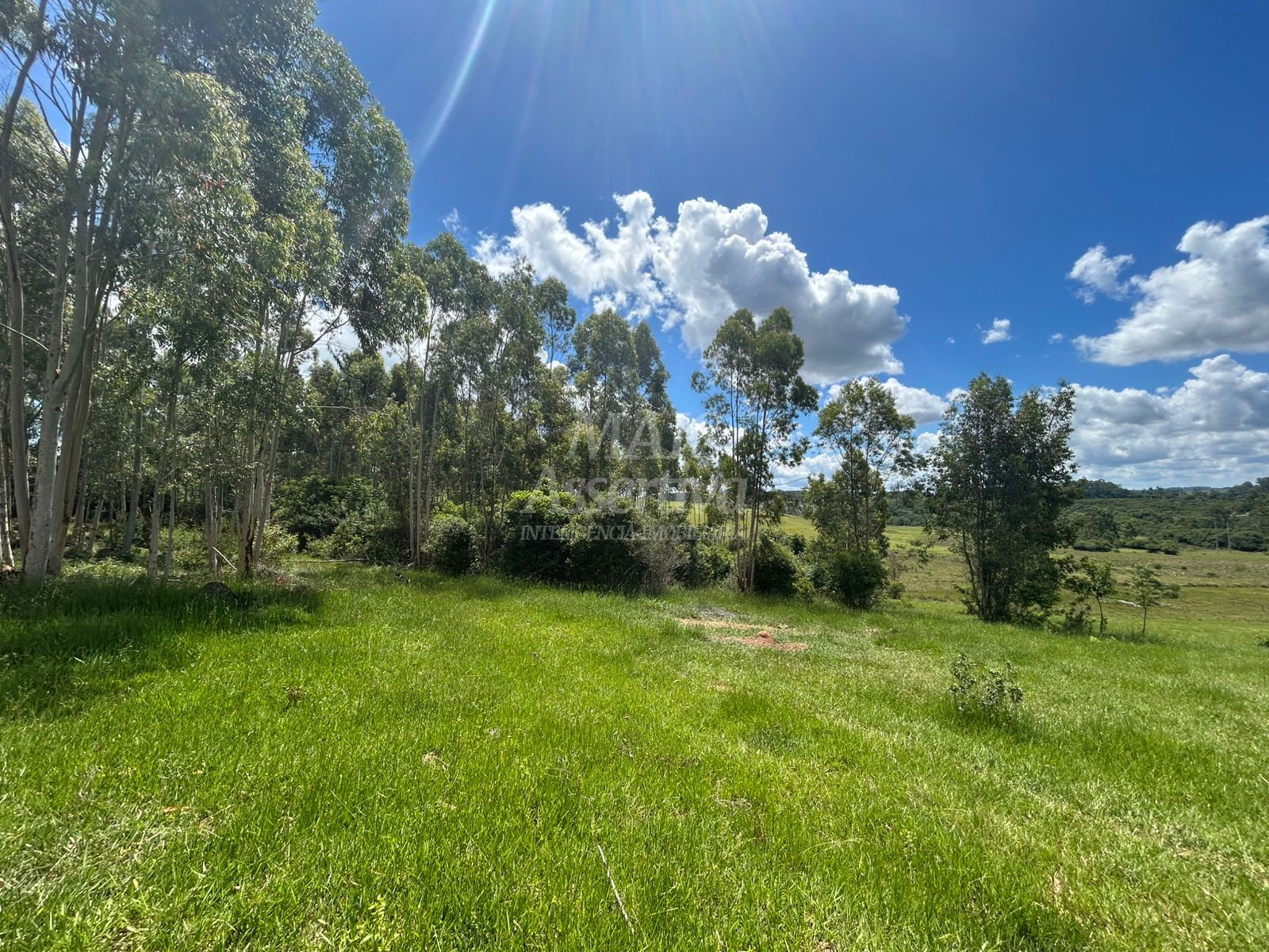 Sítio, 4 hectares - Foto 6