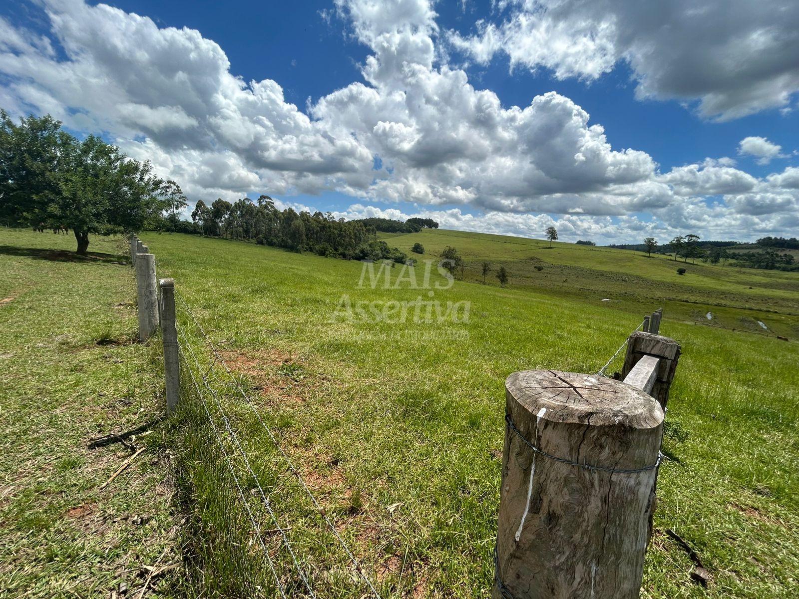 Sítio, 4 hectares - Foto 9