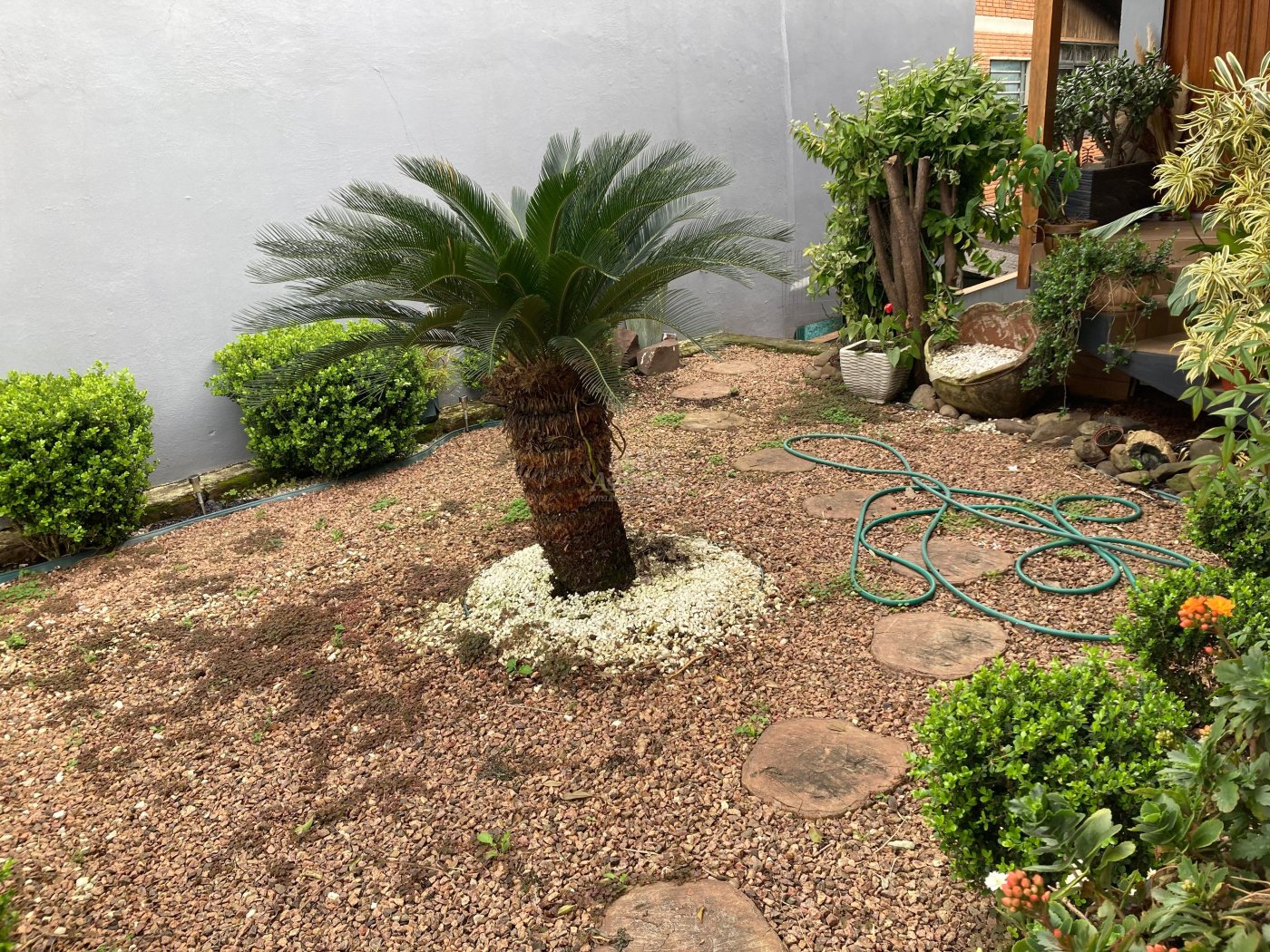 Casa 03 dormitórios para venda em Novo Hamburgo bairro São Jorge