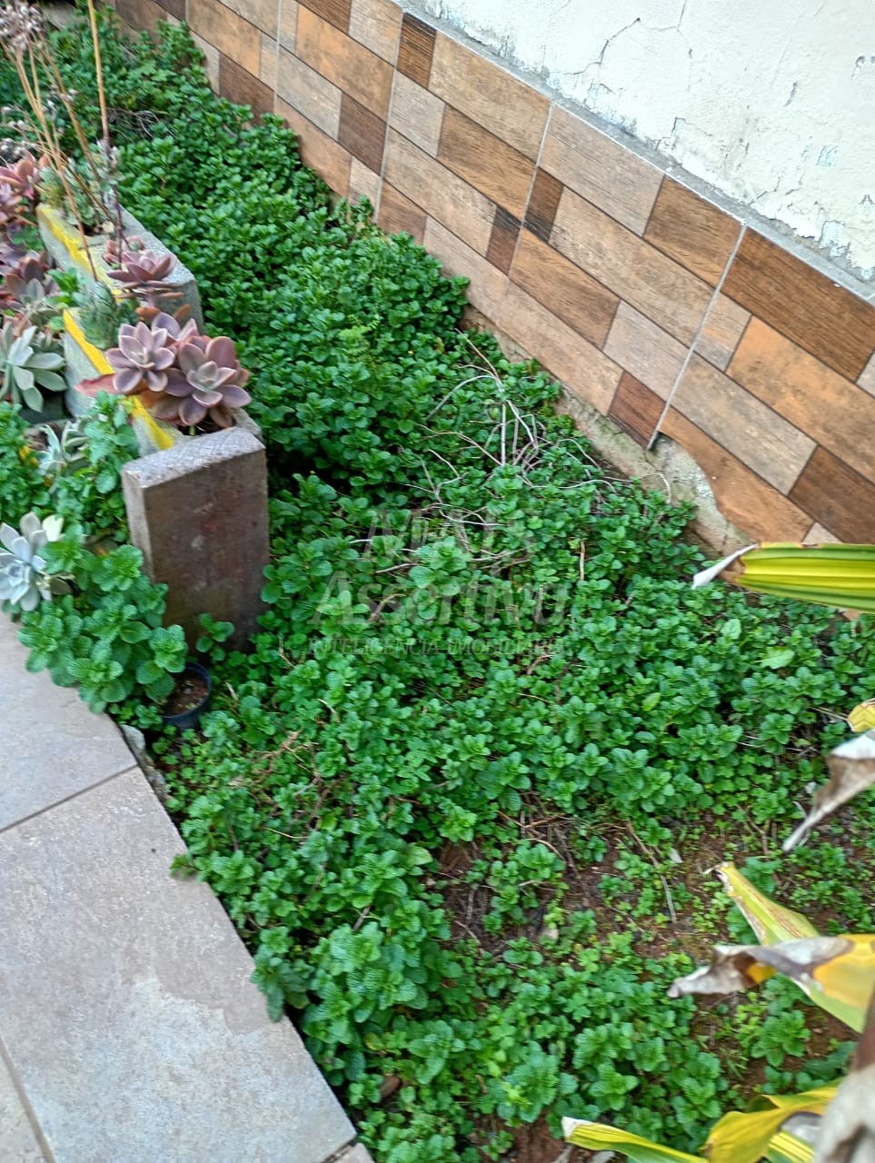 Amplo sobrado com 260m² para venda em Novo Hamburgo bairro Hamburgo Velho