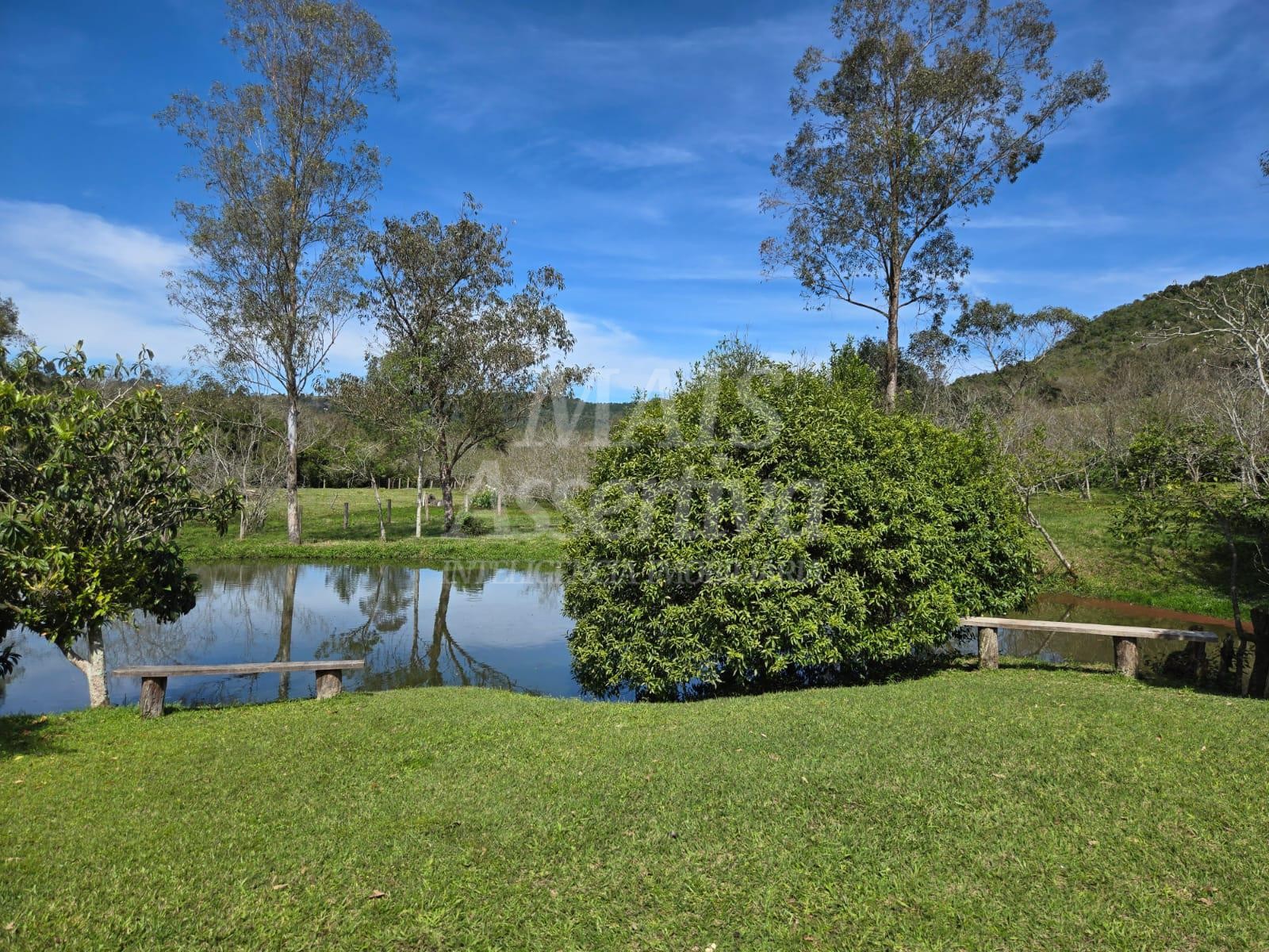 Excelente sítio à venda, localizado em Lomba Grande/Novo Hamburgo