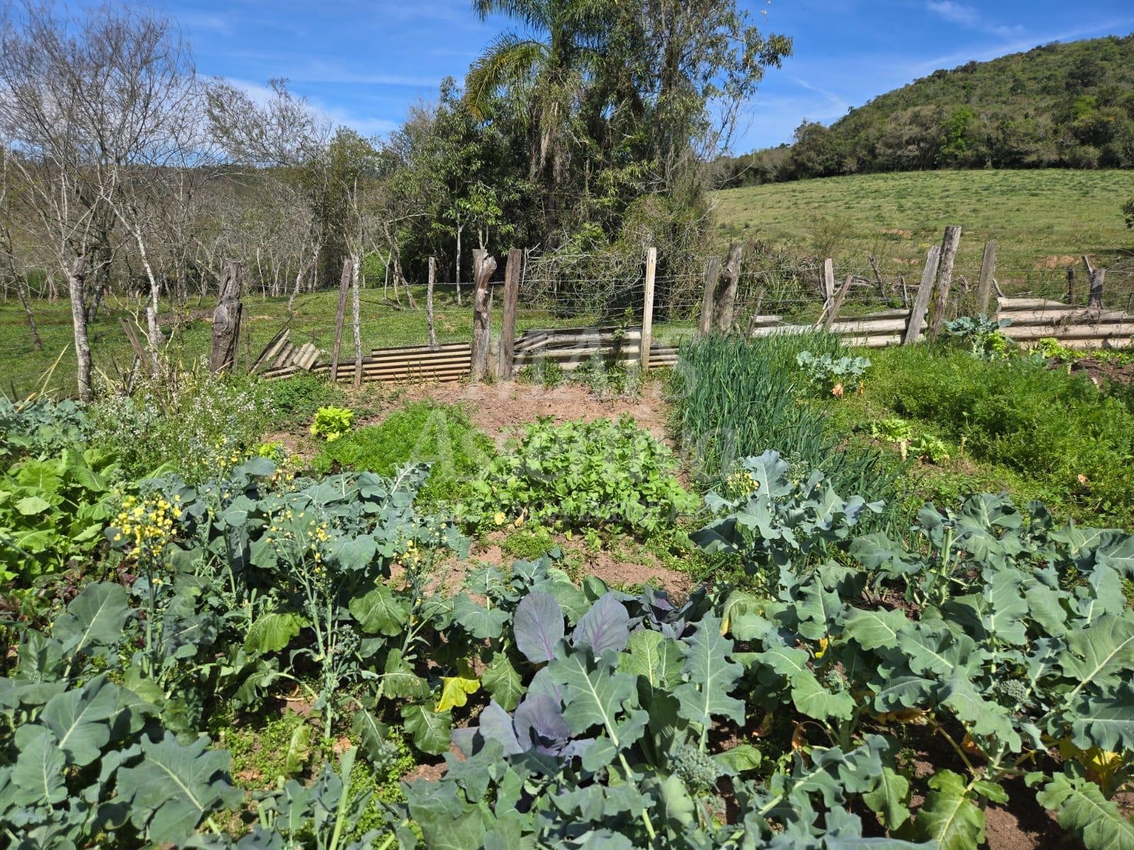 Excelente sítio à venda, localizado em Lomba Grande/Novo Hamburgo