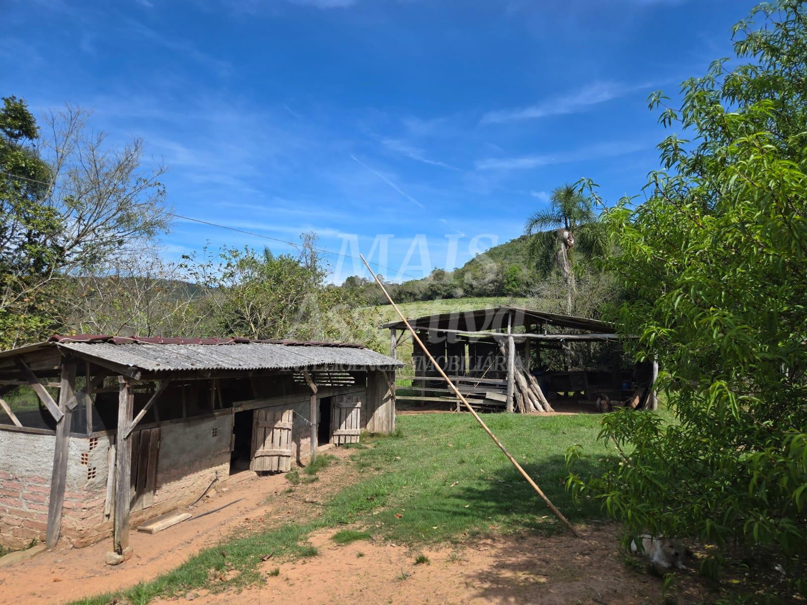 Excelente sítio à venda, localizado em Lomba Grande/Novo Hamburgo
