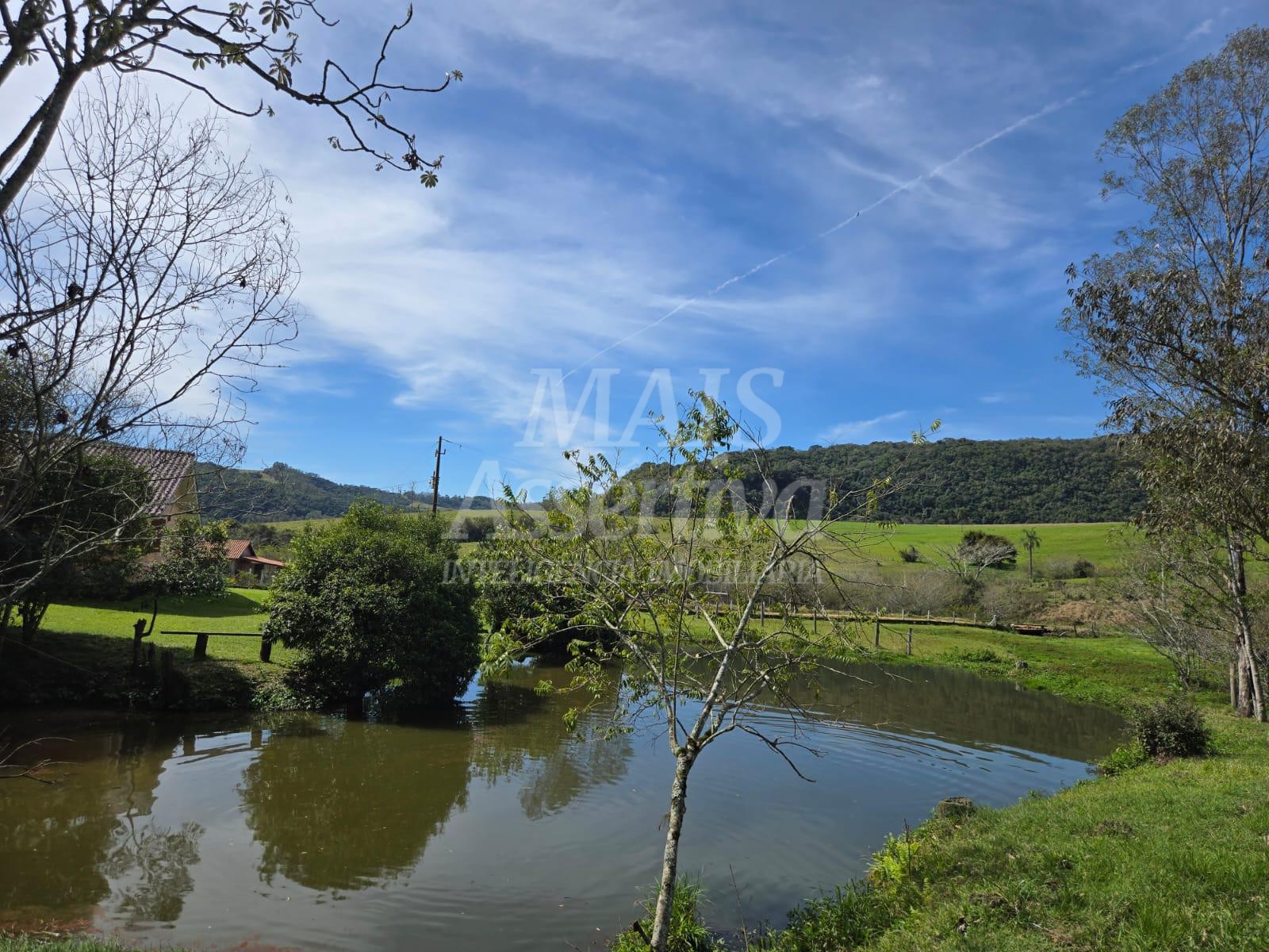 Excelente sítio à venda, localizado em Lomba Grande/Novo Hamburgo