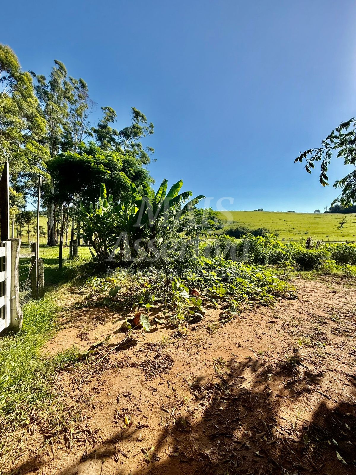 Chácara para Venda-Lomba Grande em Novo Hamburgo