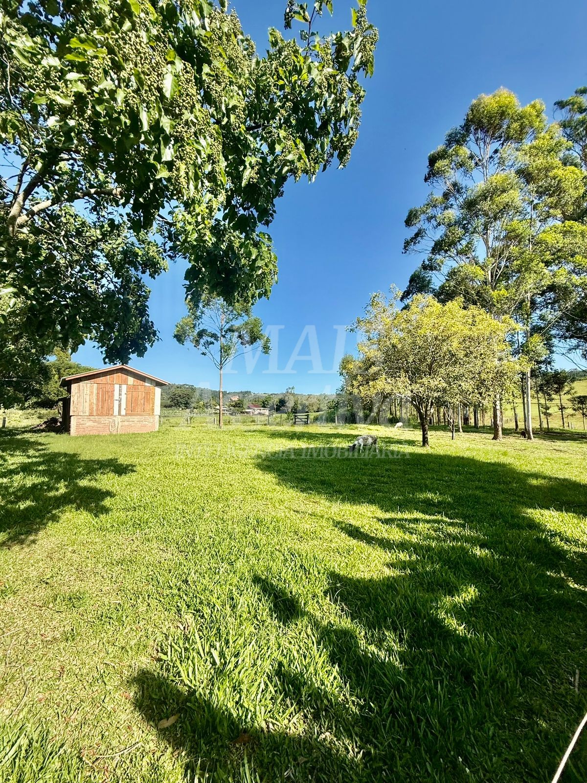 Chácara para Venda-Lomba Grande em Novo Hamburgo