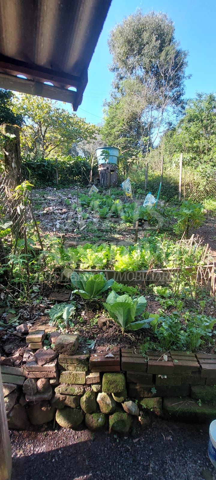 Sítio para Venda em Dois Irmãos
