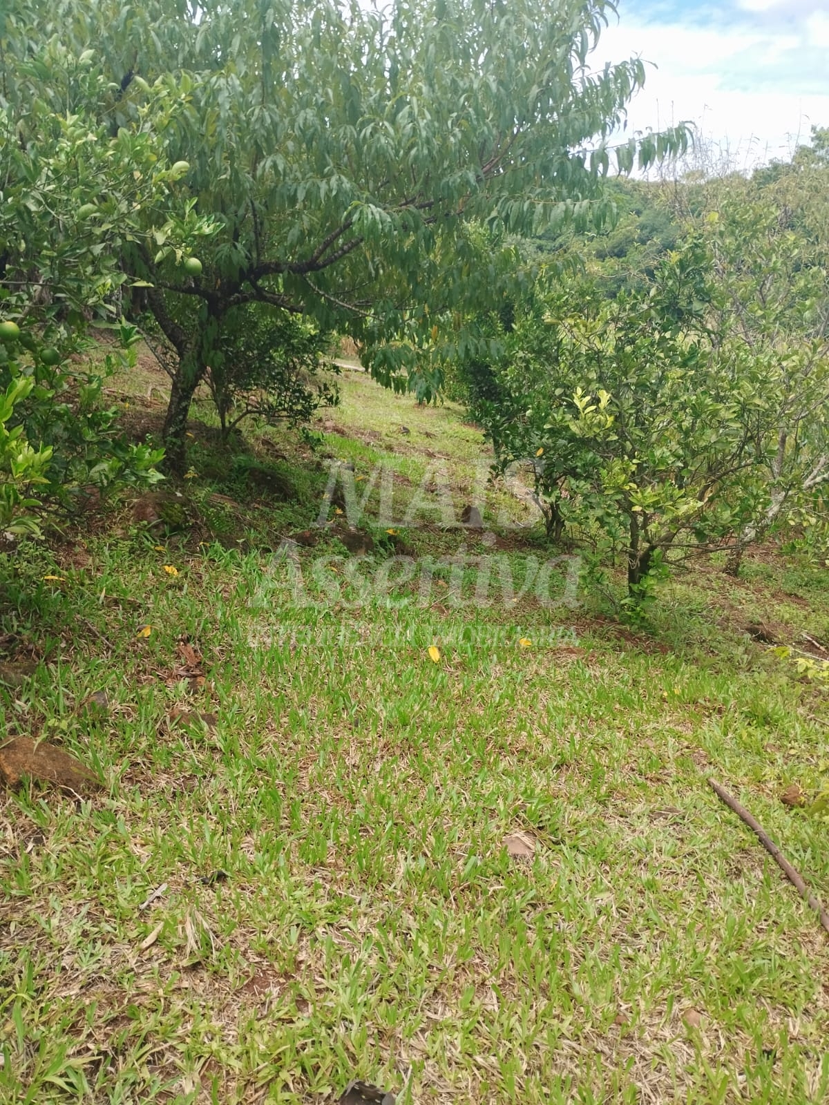 Sítio / Chácara para Venda no bairro Picada Verão em Sapiranga