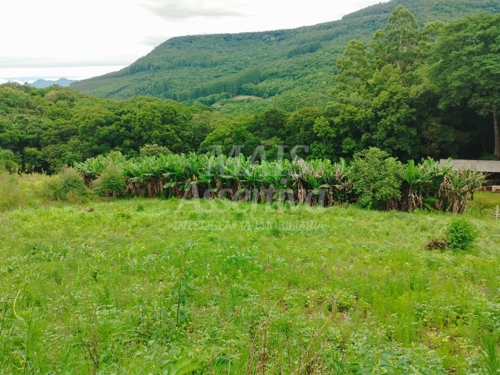 Sítio / Chácara para Venda no bairro Picada Verão em Sapiranga