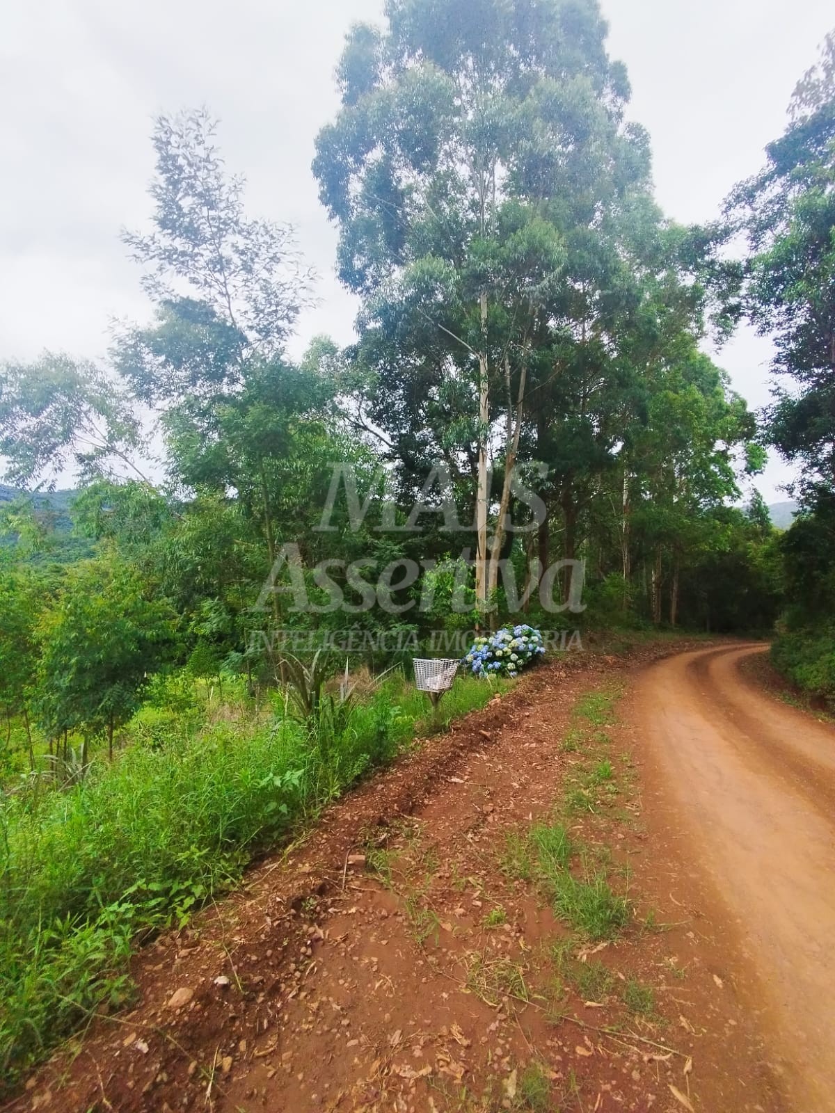Sítio / Chácara para Venda no bairro Picada Verão em Sapiranga