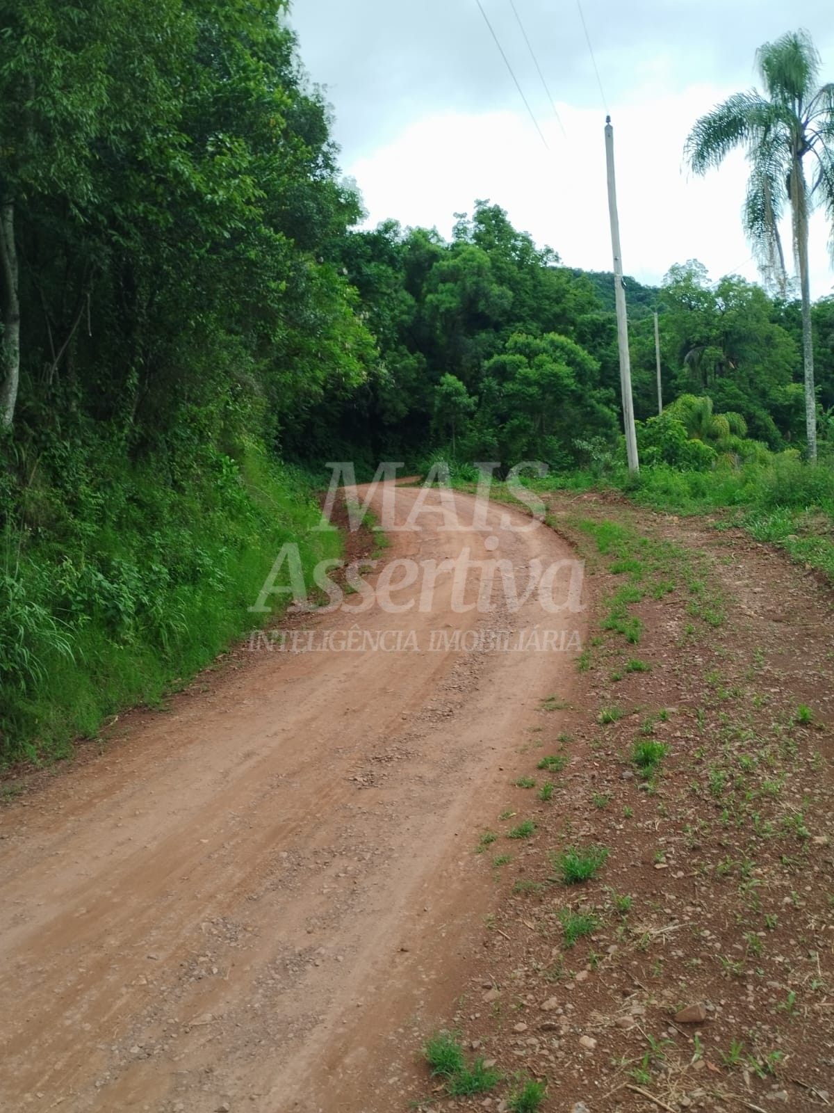 Sítio / Chácara para Venda no bairro Picada Verão em Sapiranga