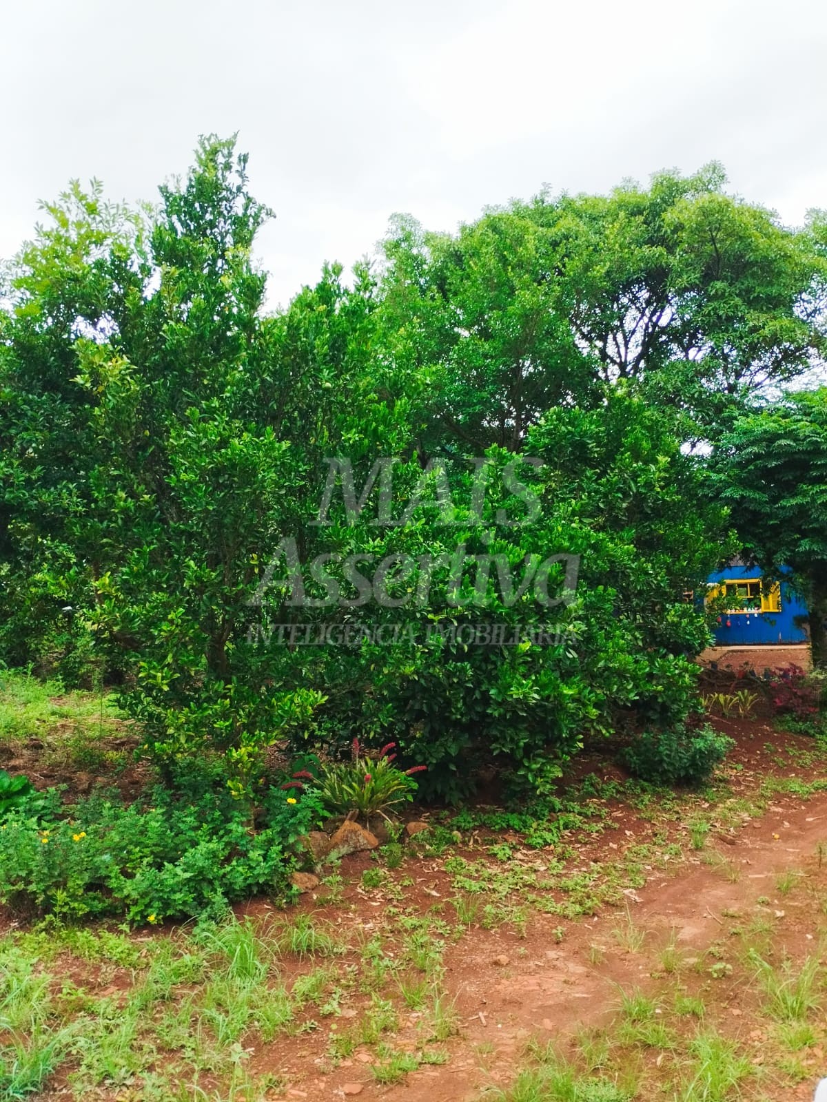 Sítio / Chácara para Venda no bairro Picada Verão em Sapiranga