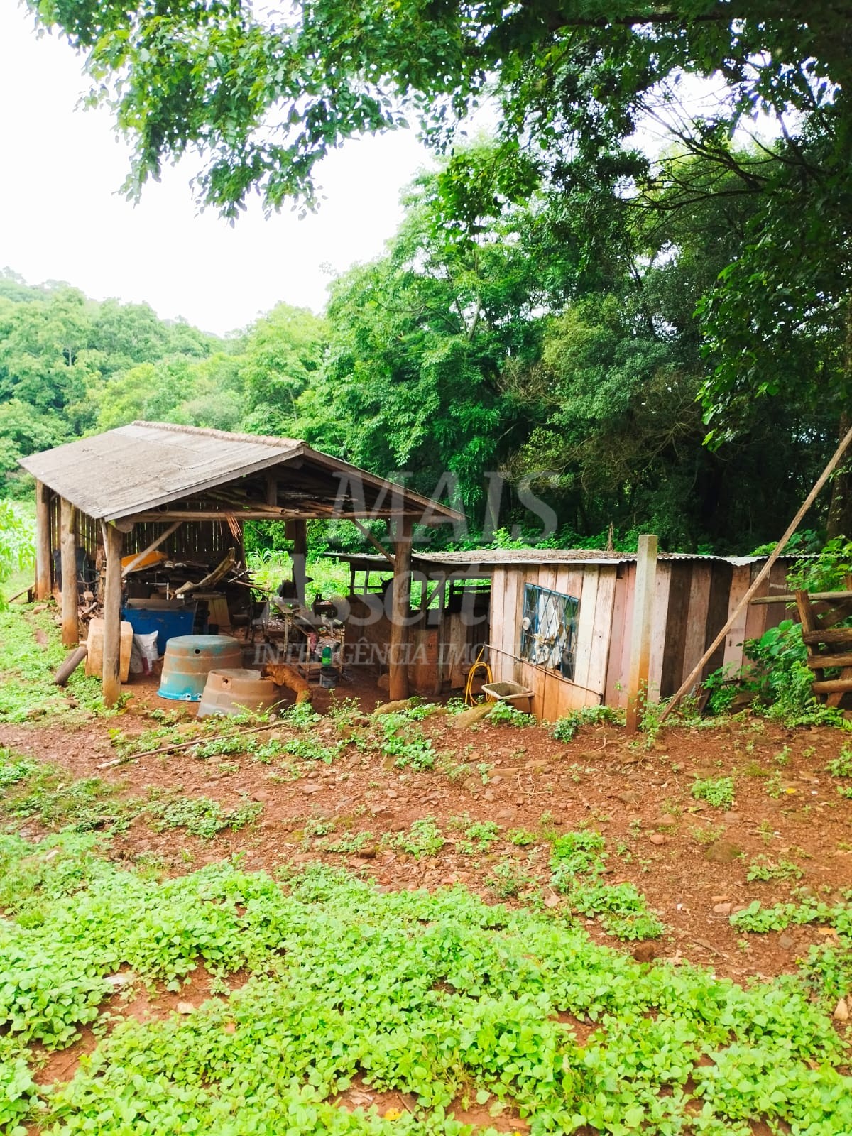 Sítio / Chácara para Venda no bairro Picada Verão em Sapiranga