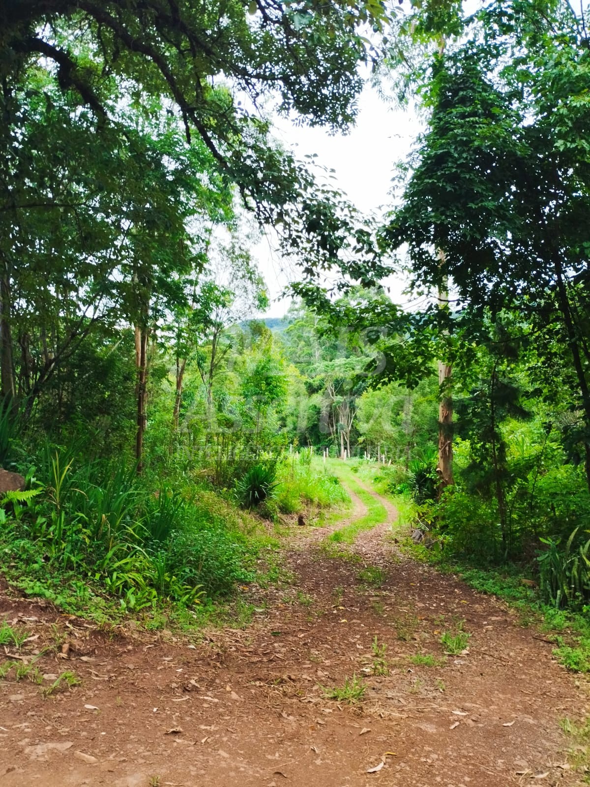 Sítio / Chácara para Venda no bairro Picada Verão em Sapiranga