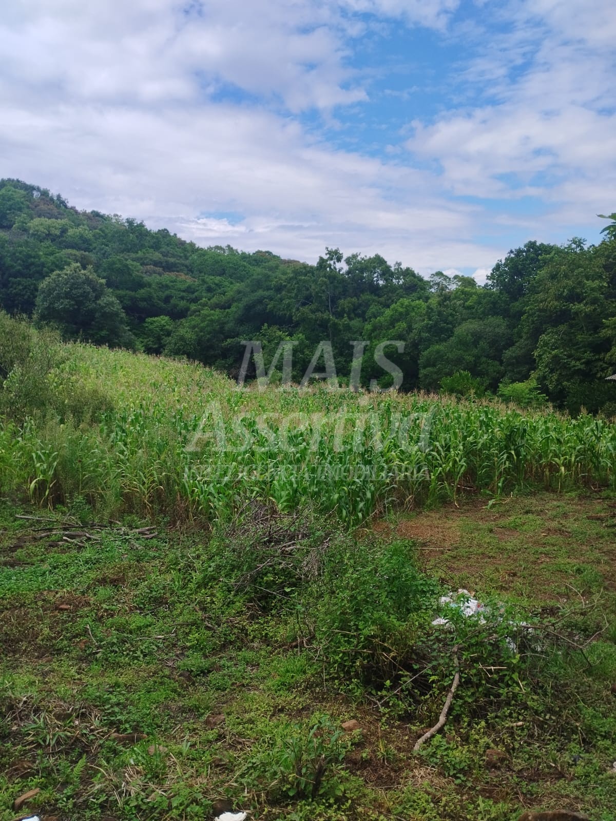 Sítio / Chácara para Venda no bairro Picada Verão em Sapiranga