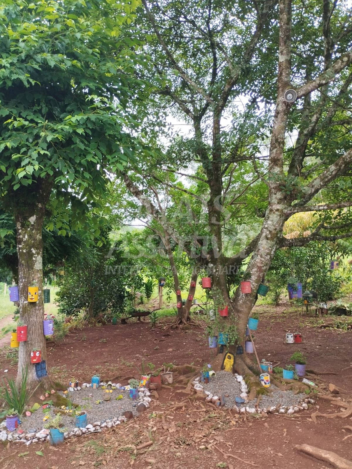 Sítio / Chácara para Venda no bairro Picada Verão em Sapiranga