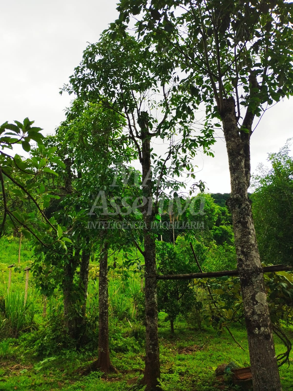 Sítio / Chácara para Venda no bairro Picada Verão em Sapiranga