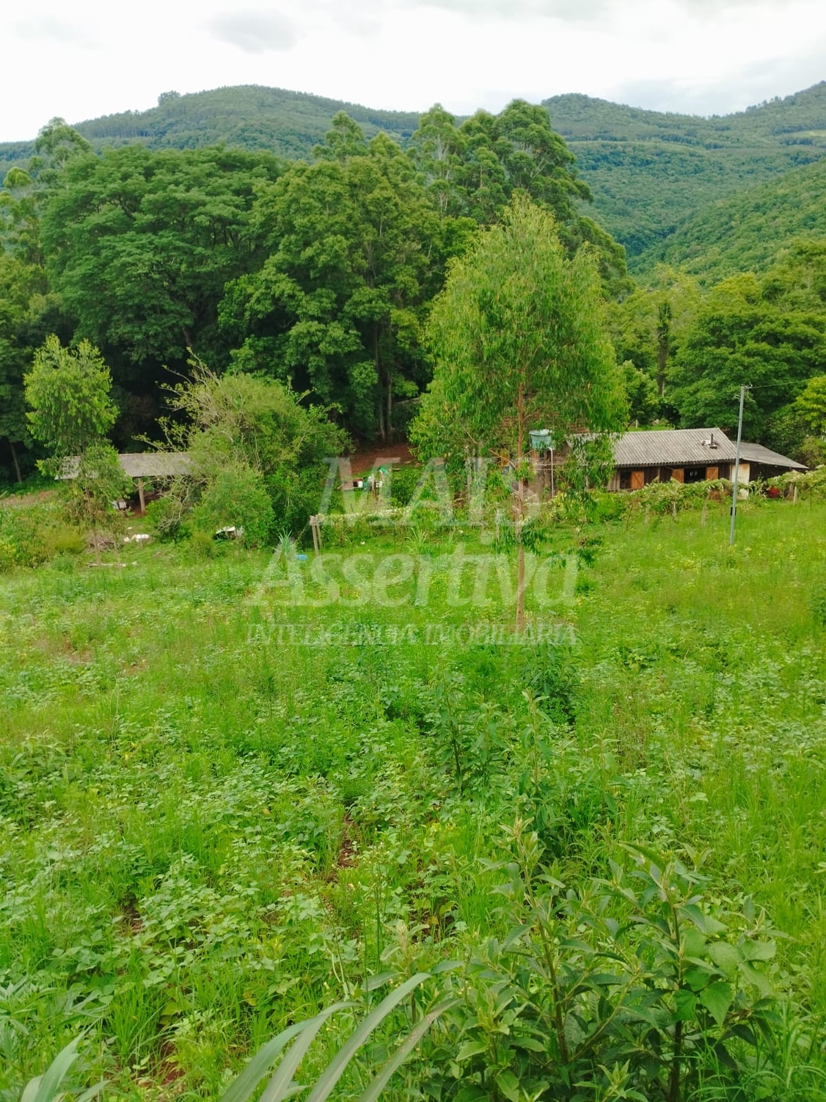Sítio / Chácara para Venda no bairro Picada Verão em Sapiranga
