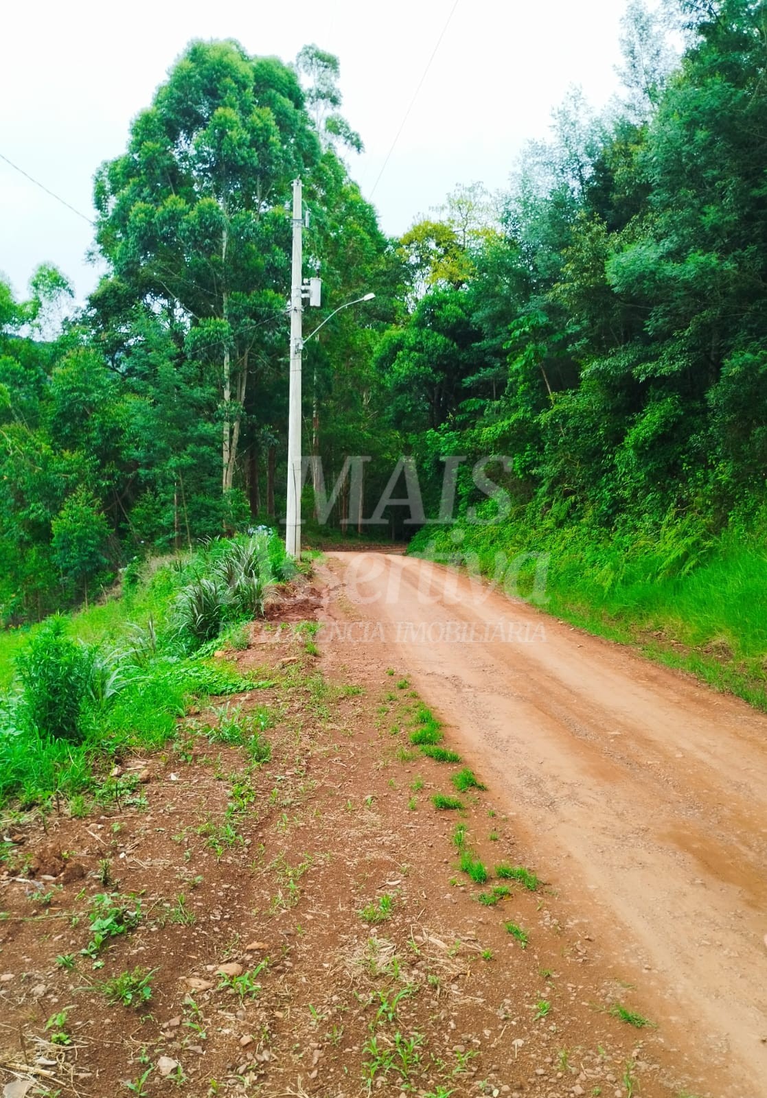 Sítio / Chácara para Venda no bairro Picada Verão em Sapiranga