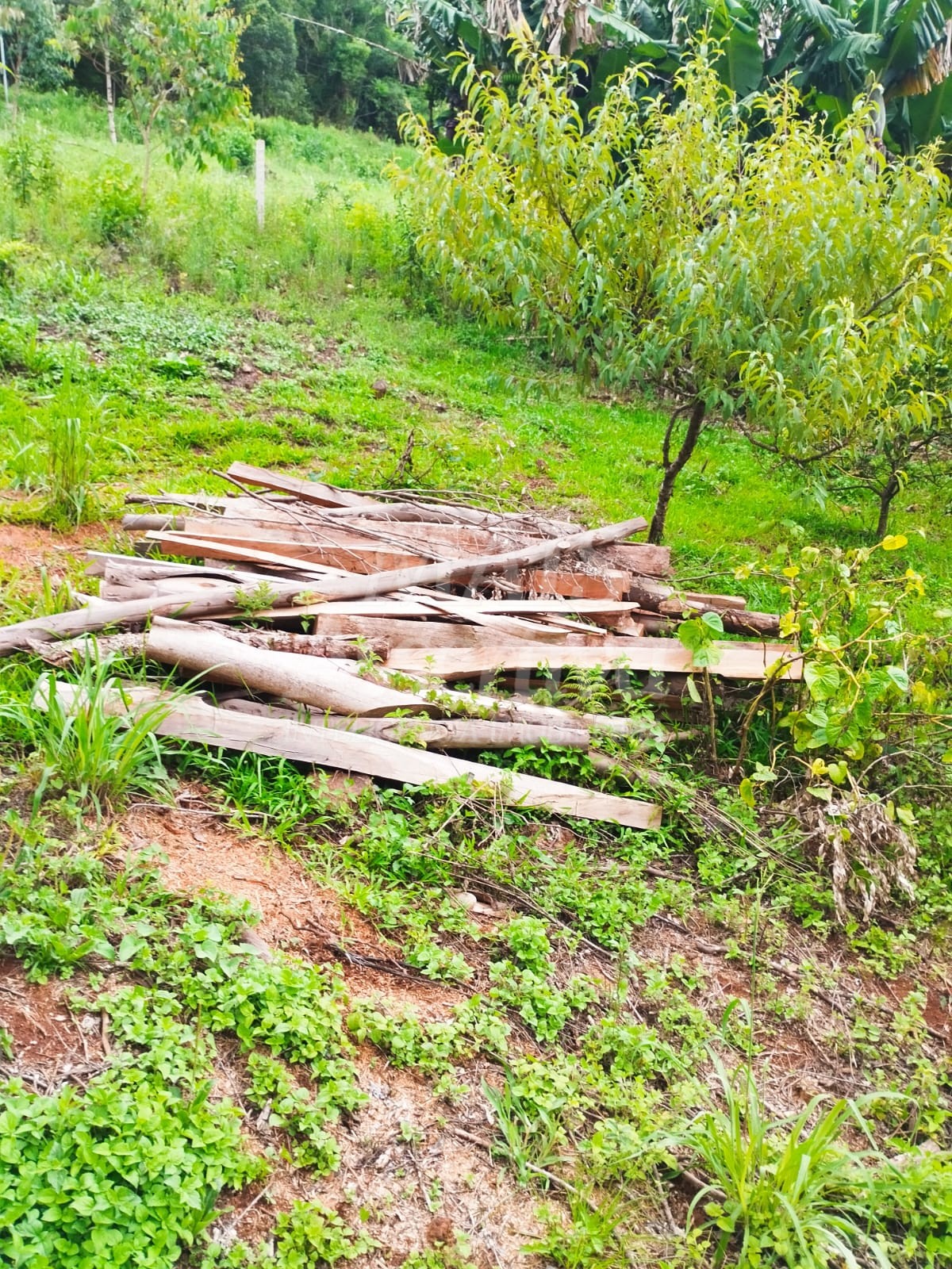 Sítio / Chácara para Venda no bairro Picada Verão em Sapiranga