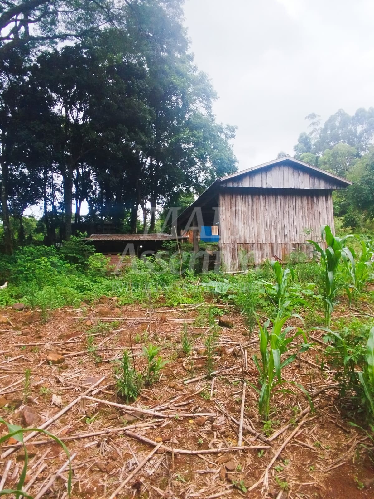 Sítio / Chácara para Venda no bairro Picada Verão em Sapiranga