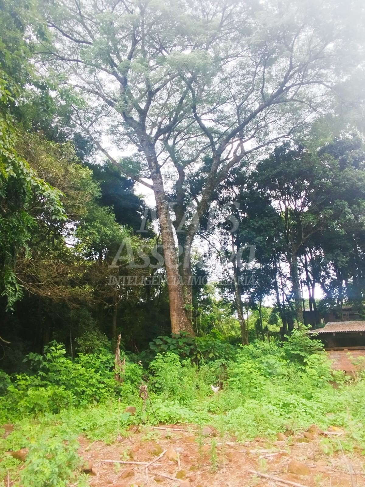 Sítio / Chácara para Venda no bairro Picada Verão em Sapiranga