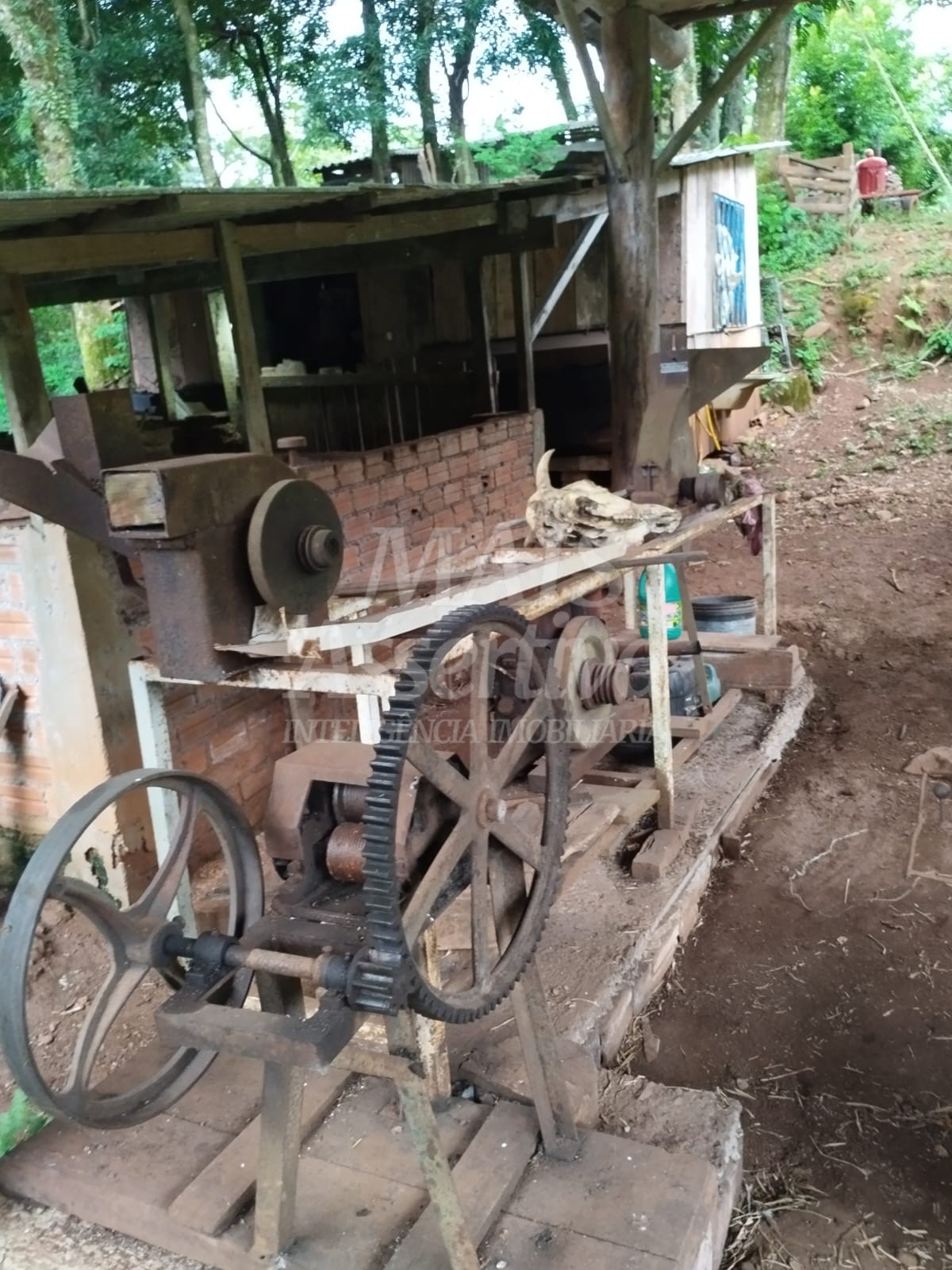 Sítio / Chácara para Venda no bairro Picada Verão em Sapiranga