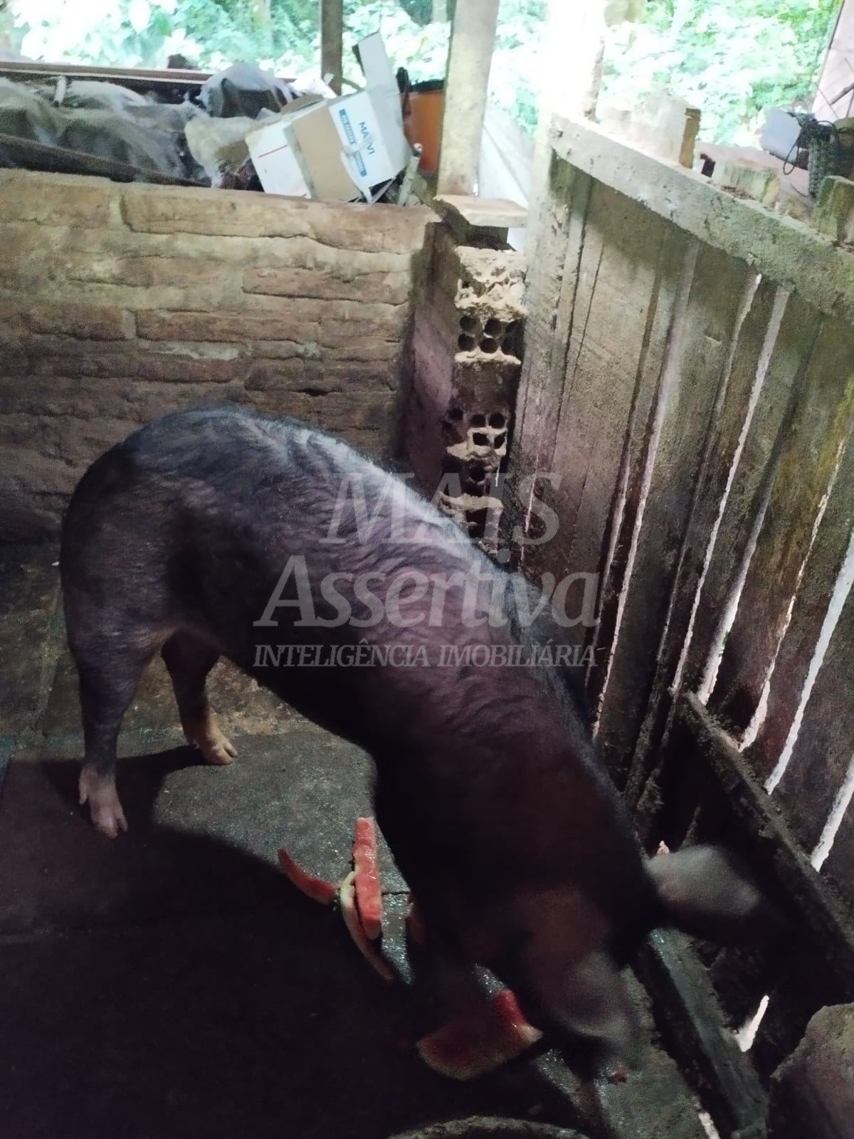 Sítio / Chácara para Venda no bairro Picada Verão em Sapiranga