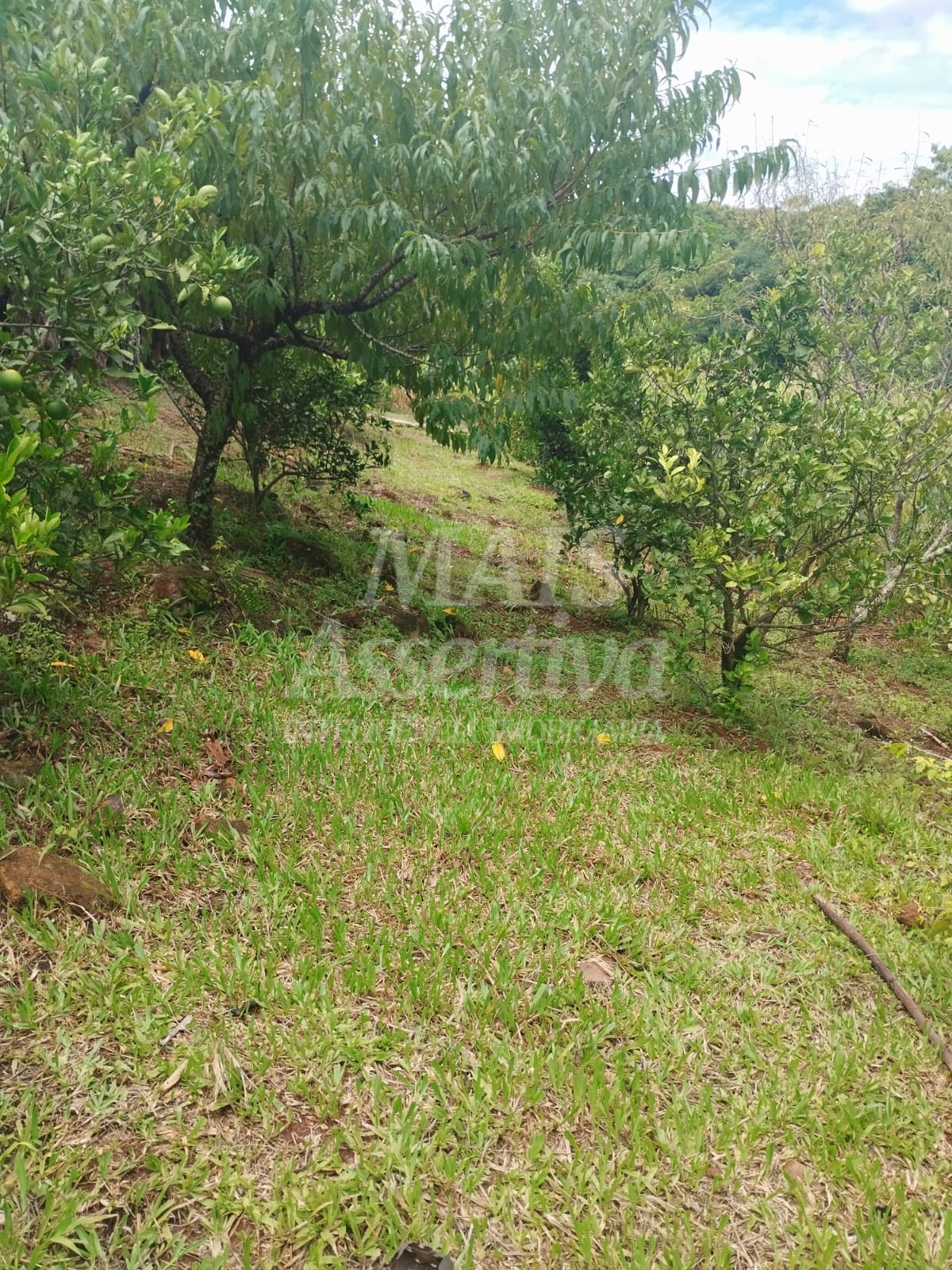 Sítio / Chácara para Venda no bairro Picada Verão em Sapiranga