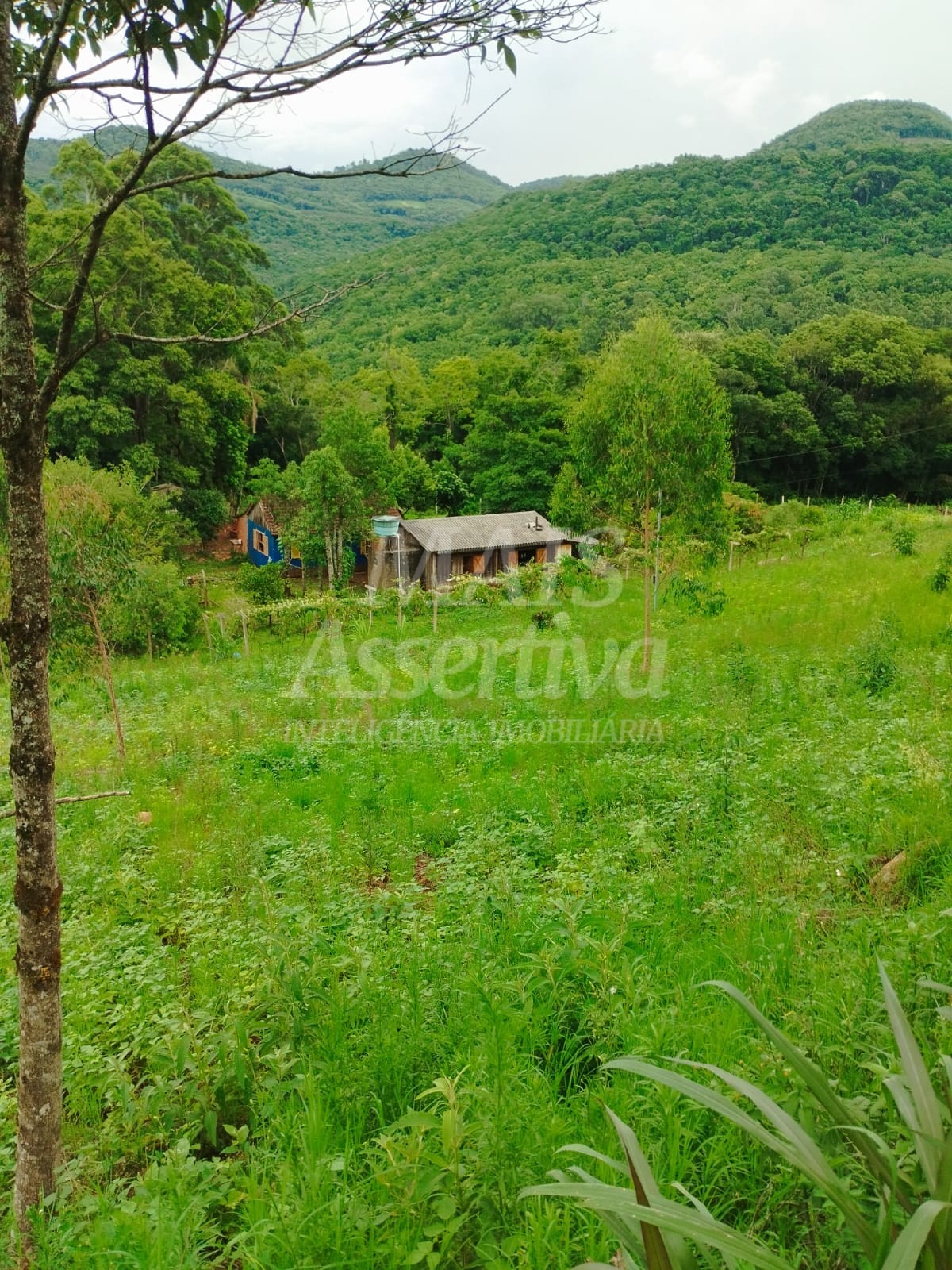 Sítio / Chácara para Venda no bairro Picada Verão em Sapiranga
