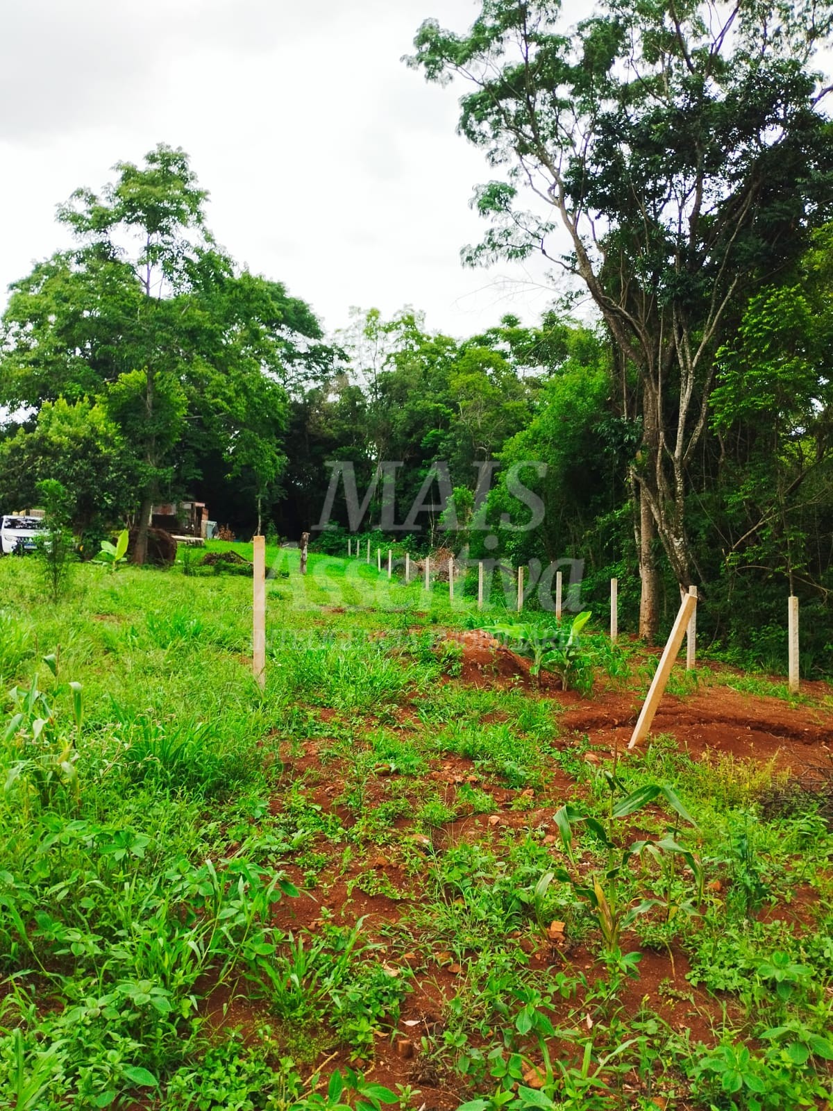 Sítio / Chácara para Venda no bairro Picada Verão em Sapiranga