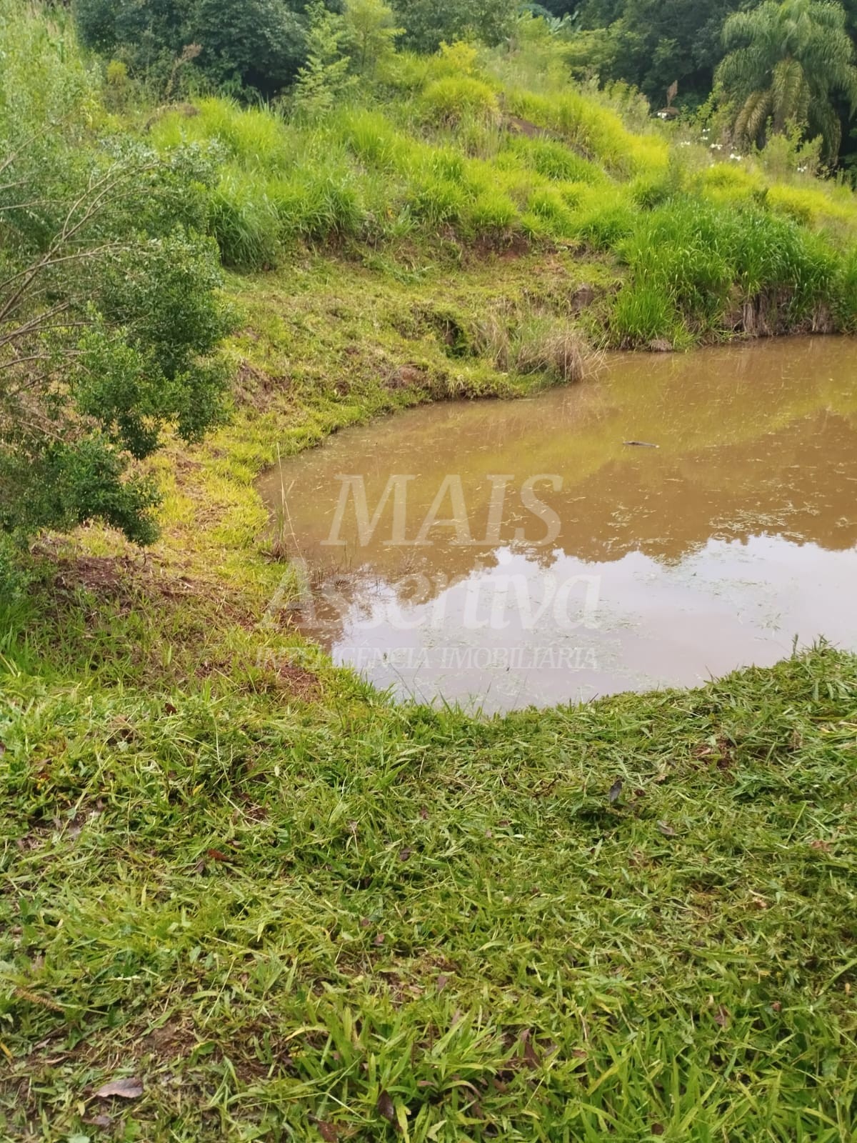 Sítio / Chácara para Venda no bairro Picada Verão em Sapiranga