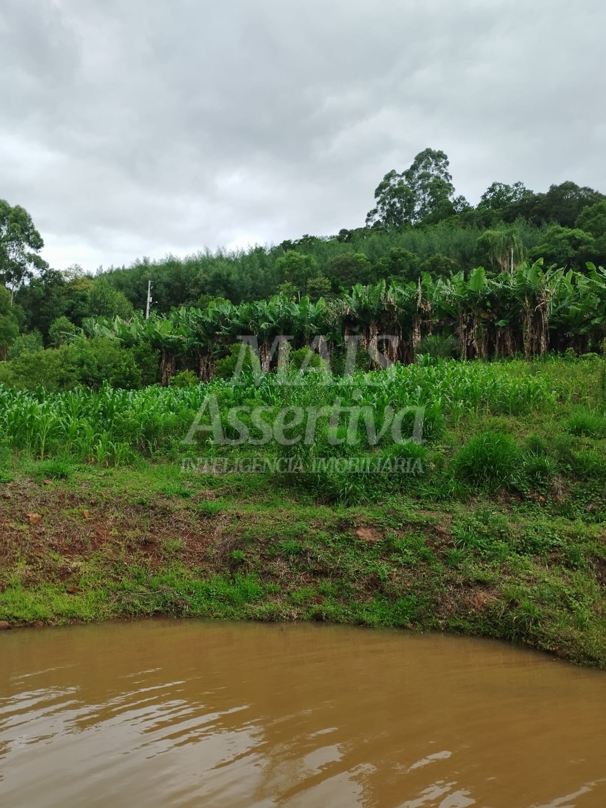 Sítio / Chácara para Venda no bairro Picada Verão em Sapiranga