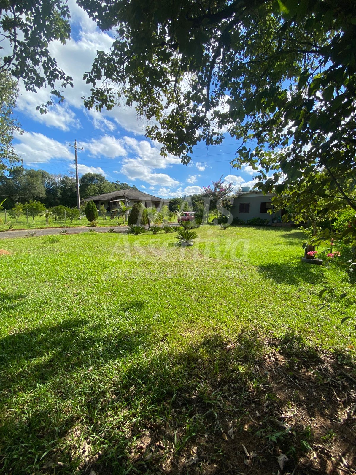 Sítio, 2 quartos, 5000 m² - Foto 3