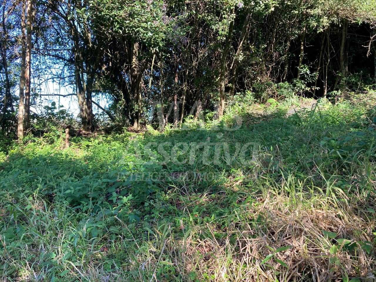 Casa 05 dormitórios para venda em Dois Irmãos bairro Floresta