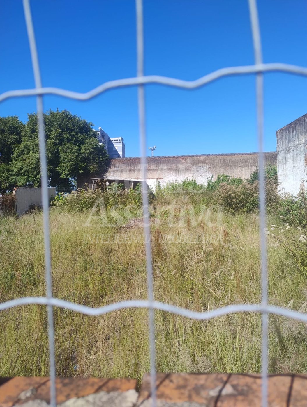 Terreno Comercial a venda Bairro Rio Branco