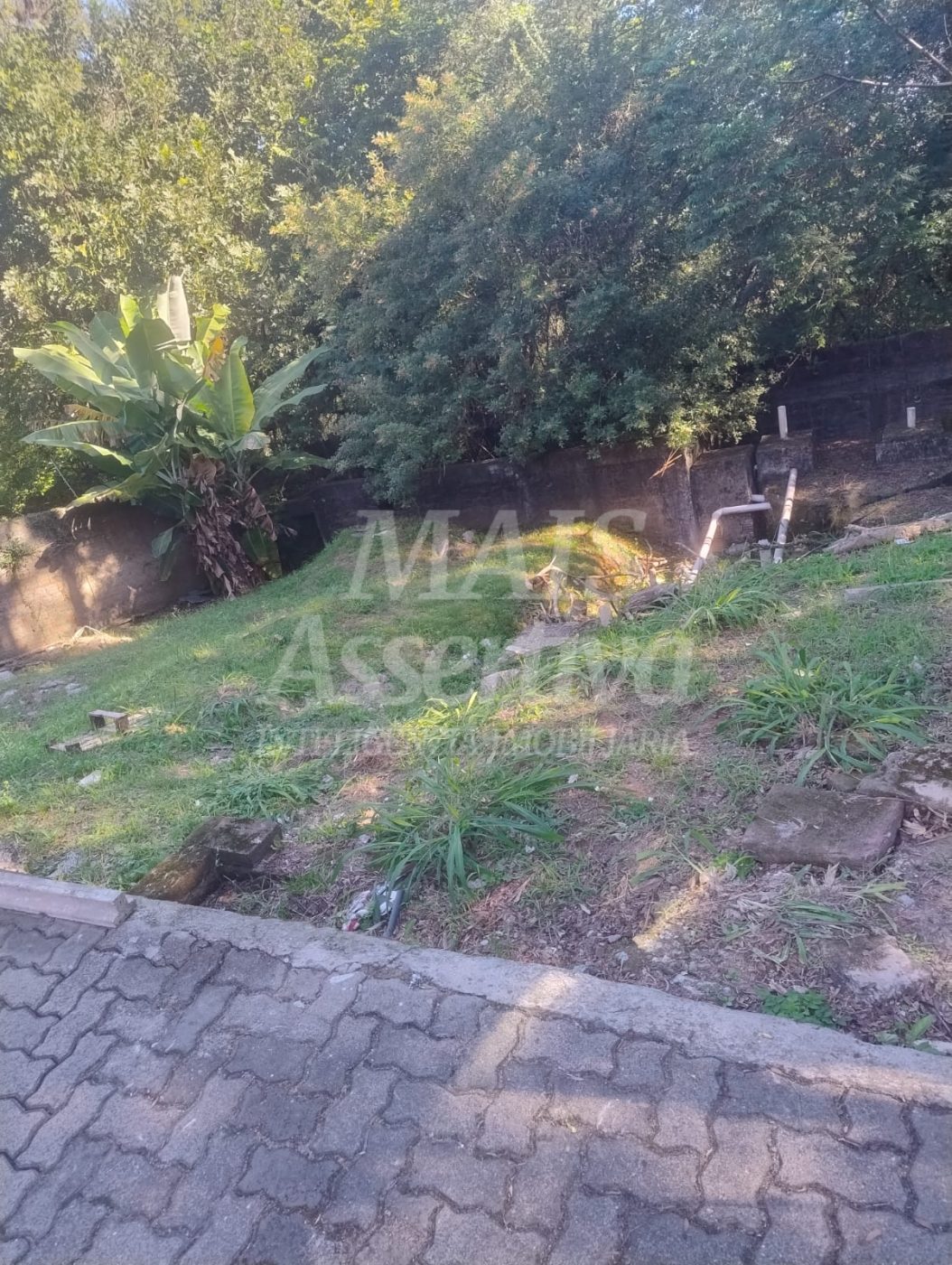 Lotes para Venda no bairro rondonia em Novo Hamburgo