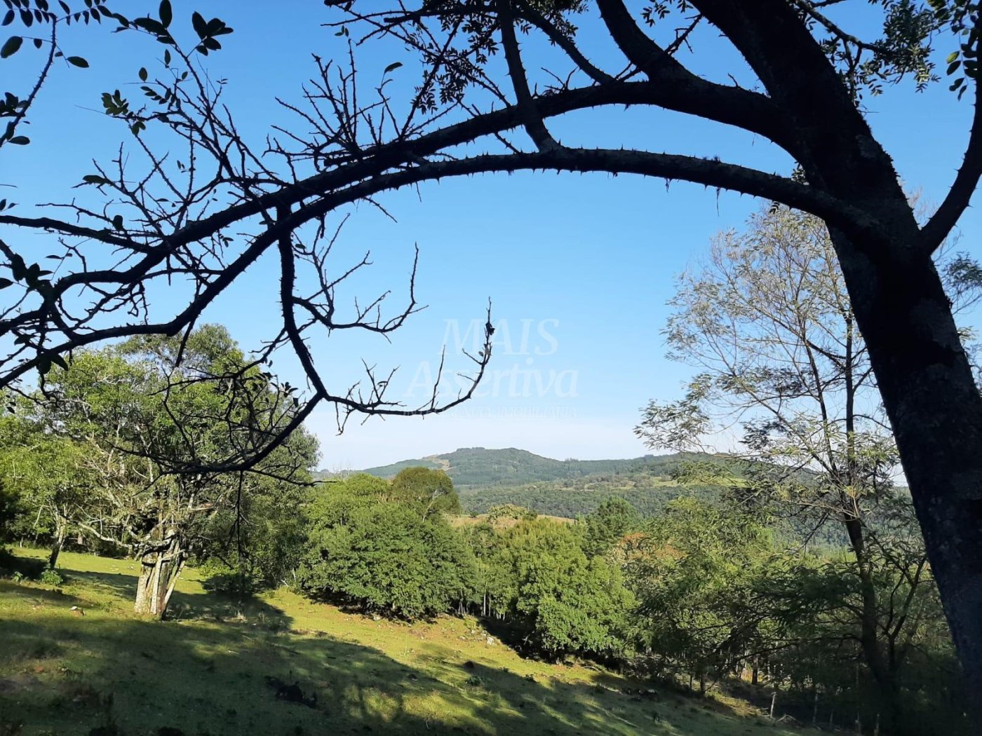 Área de 10 hectares para venda em São Francisco de Paula 