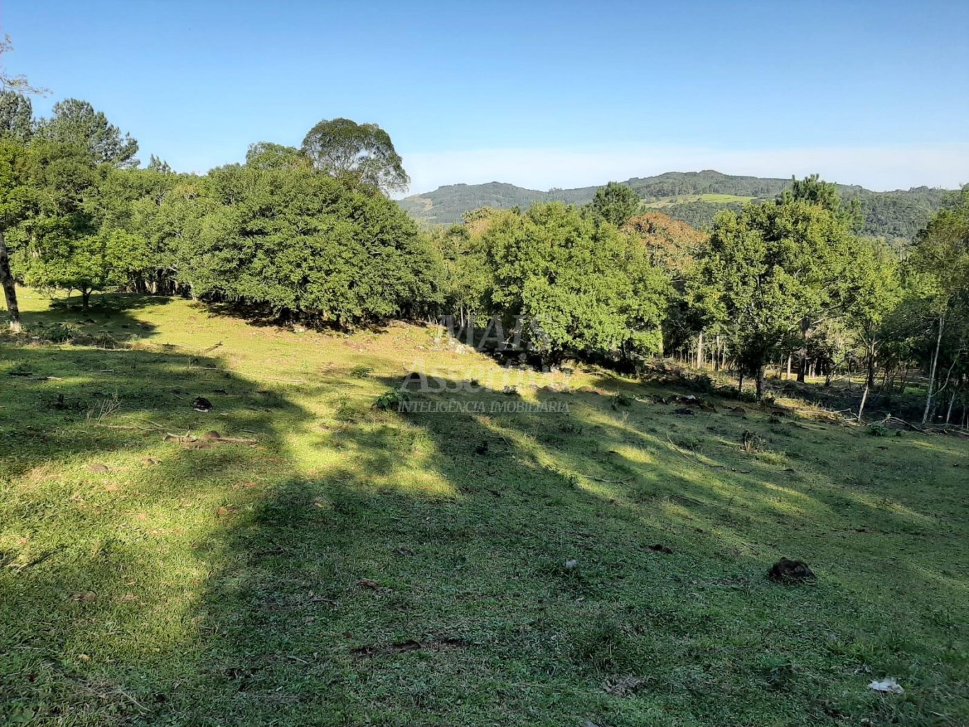 Área de 10 hectares para venda em São Francisco de Paula 