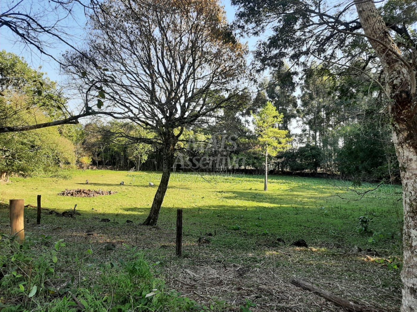Área de 10 hectares para venda em São Francisco de Paula 