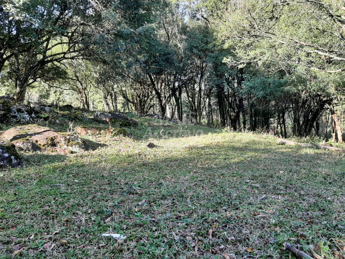 Área de 10 hectares para venda em São Francisco de Paula 
